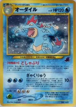 Feraligatr 「INTRO_PACK_NEO_TOTODILE No. 031」「JP」